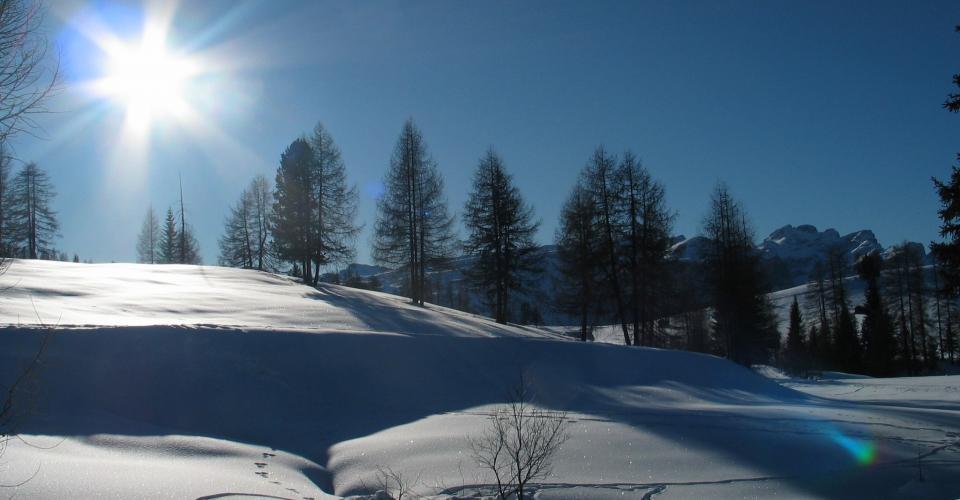 Freines - Urlaub am Bauernhof